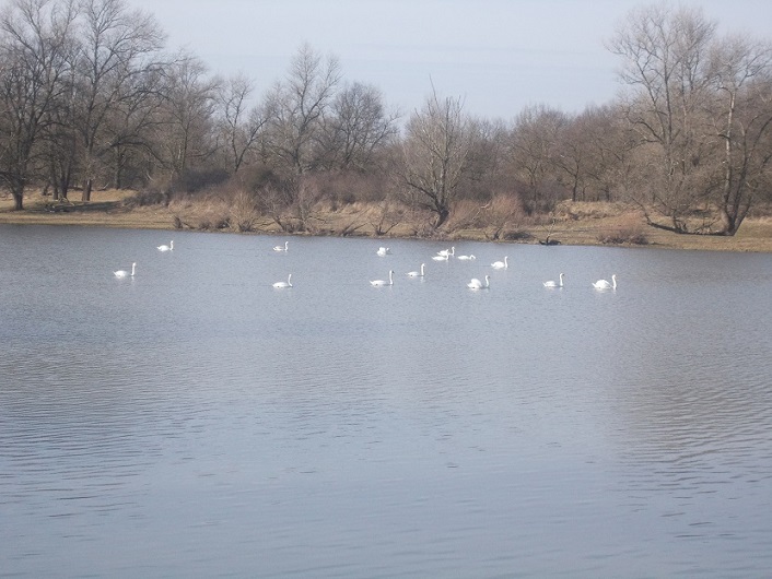 DSCN1586.JPG