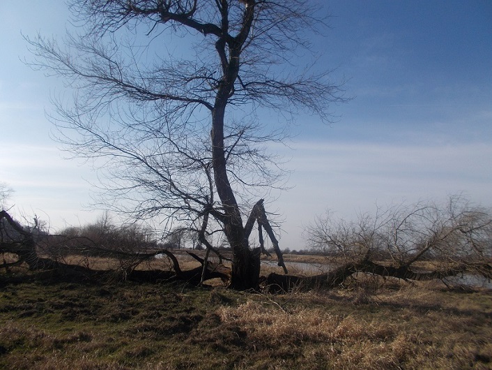 DSCN1588.JPG