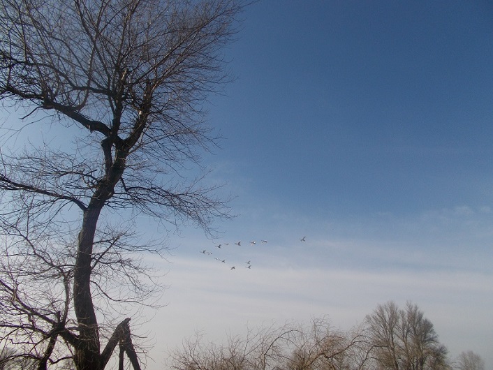 DSCN1593.JPG