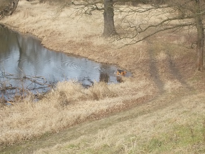 DSCN1622.JPG