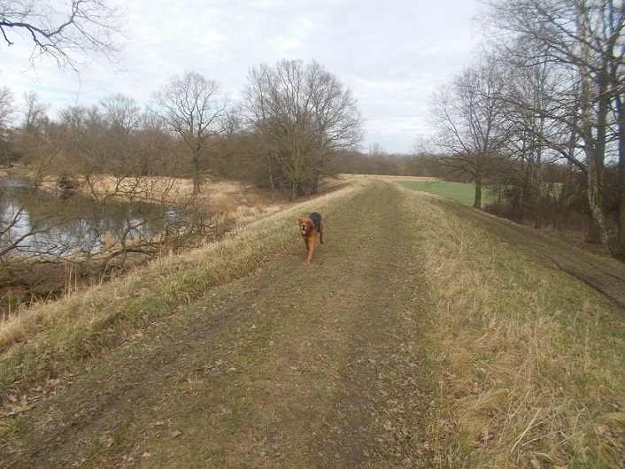 DSCN1626.JPG