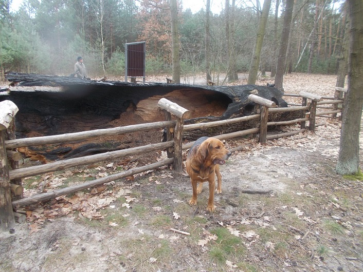 DSCN1629.JPG