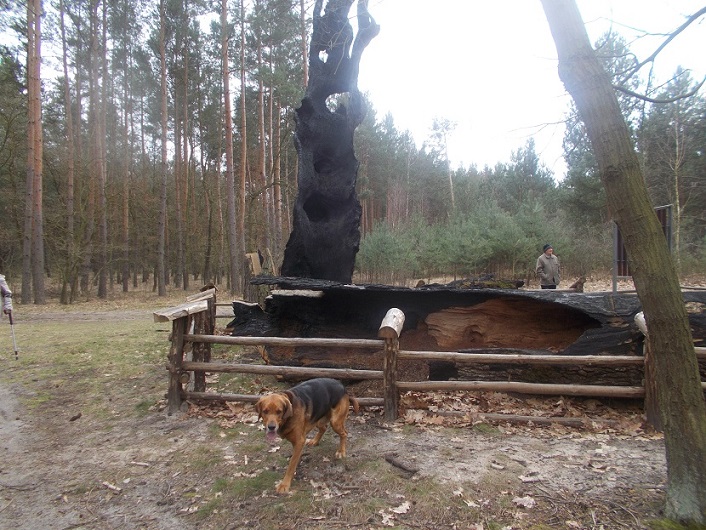 DSCN1630.JPG