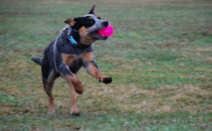 DSC_8324.JPG