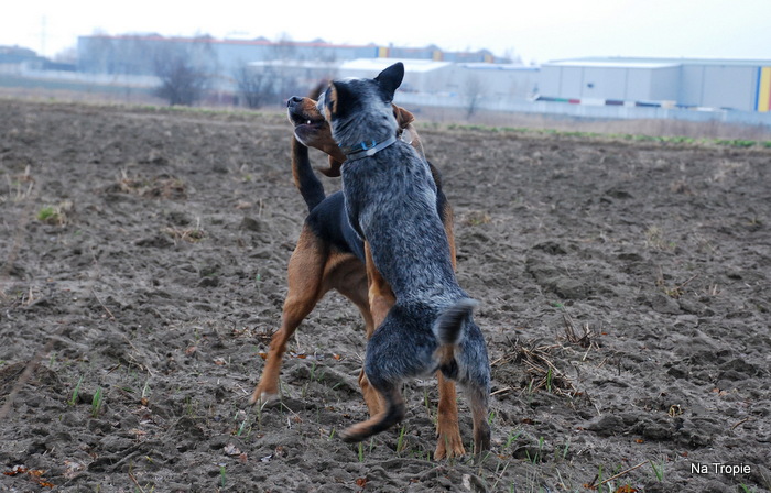 Runda druga!