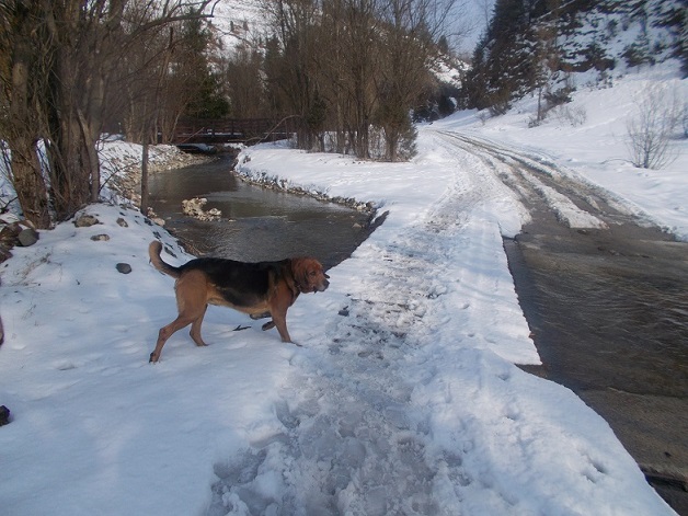 DSCN1651.JPG