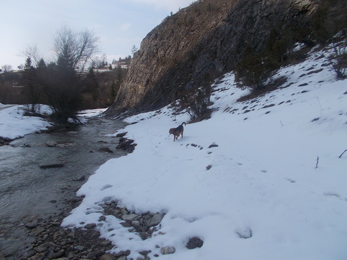DSCN1667.JPG