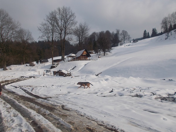 DSCN1682.JPG