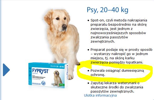 1.JPG