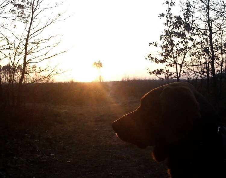 DSC01601_.jpg