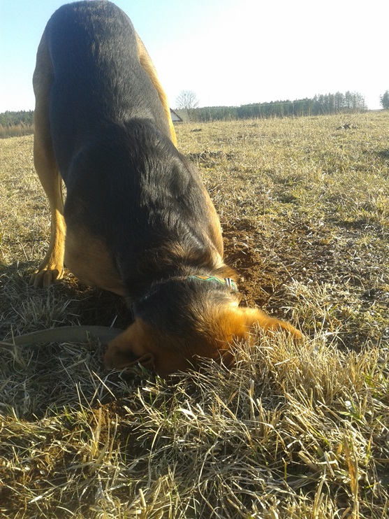 20150319_151007.jpg