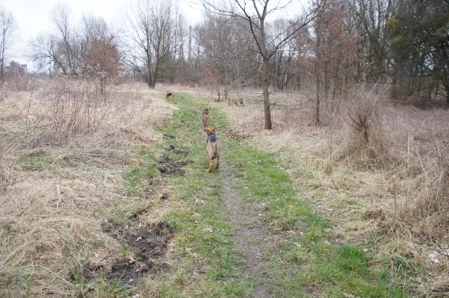 DSC09499 (640x425).jpg