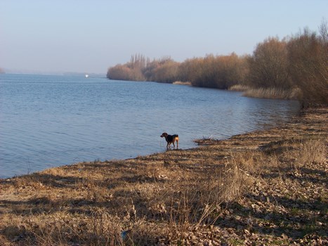102_2511 - Kopia (Kopiowanie).JPG