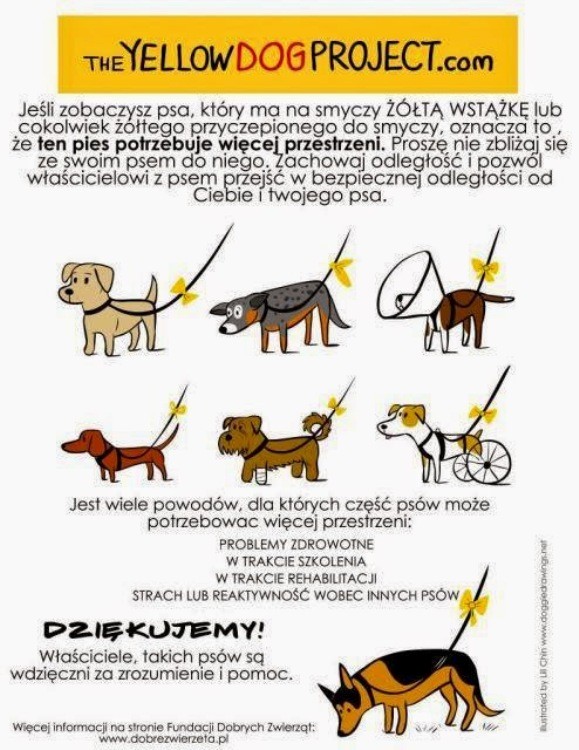 zólta wstąka.jpg