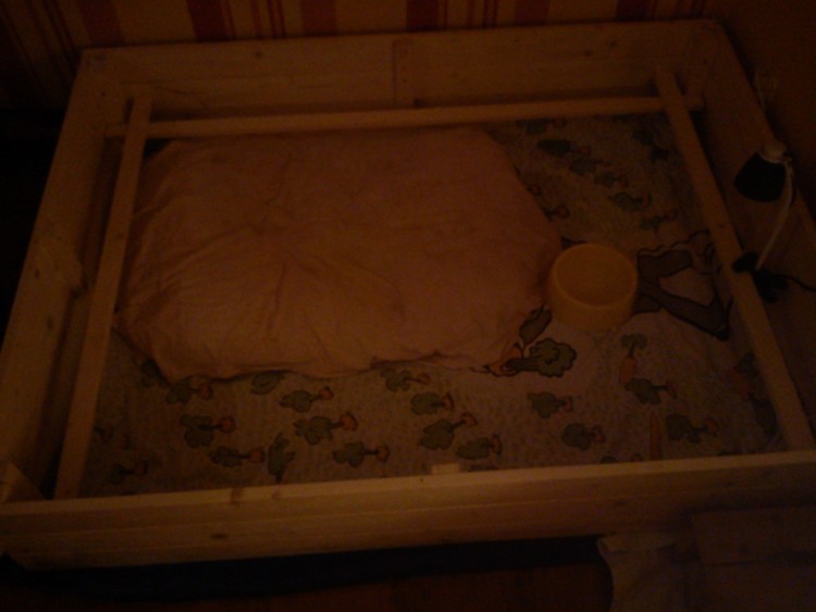 DSC01645.jpg