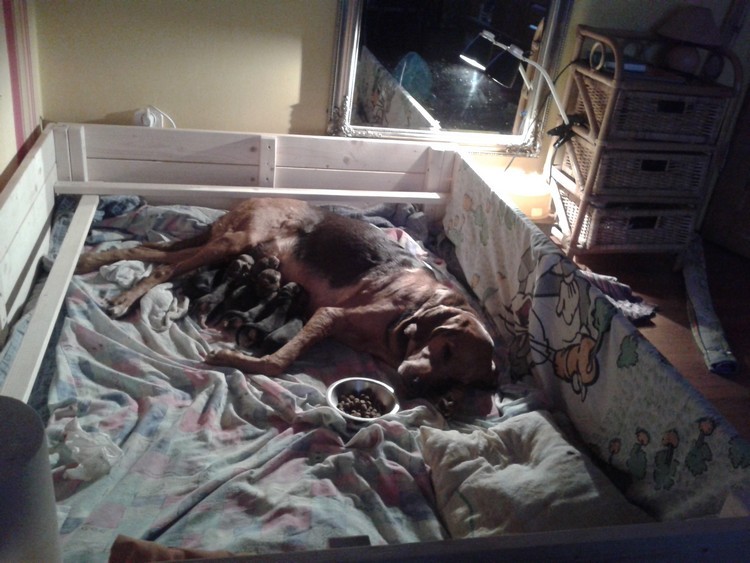 20150401_190304.jpg