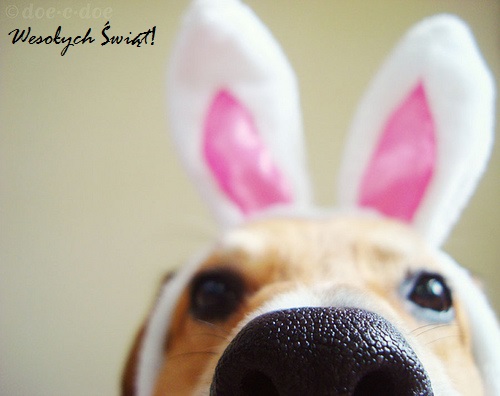 Happy-Easter.jpg