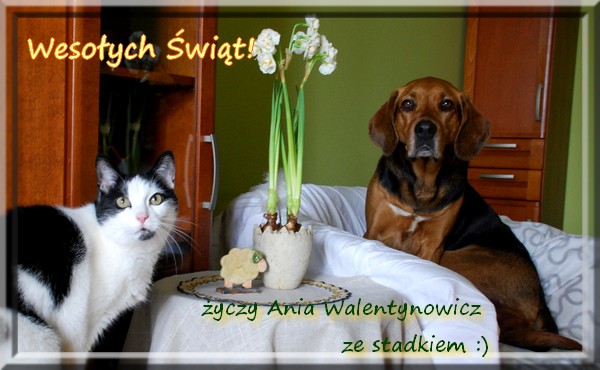 Wielkanoc 2015.jpg