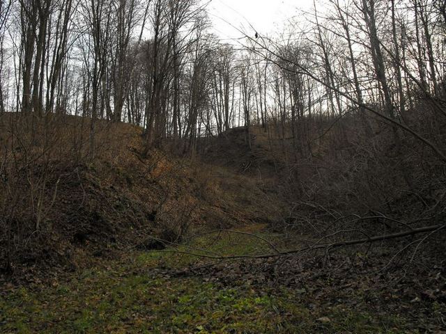 13.JPG