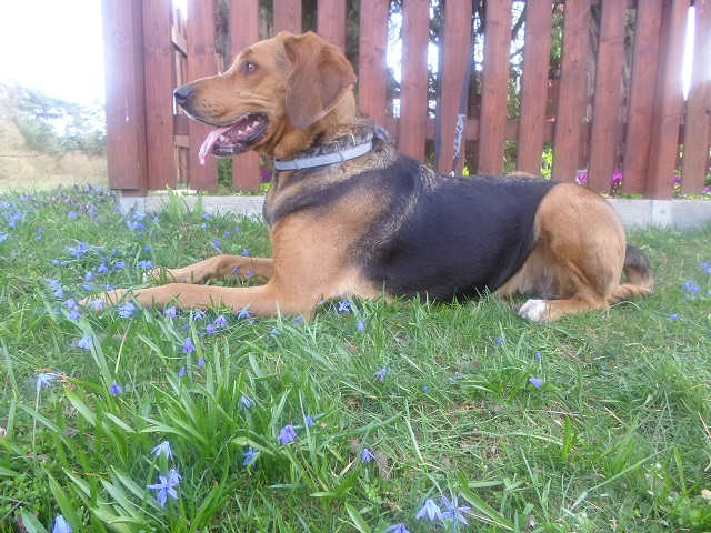 Lewy profil Orlej.