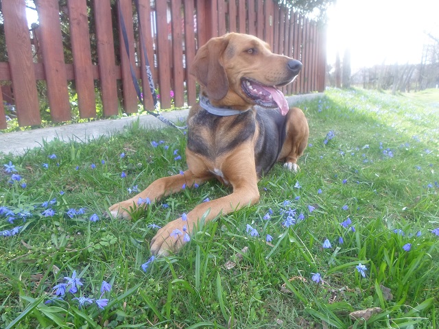 Profil prawy.