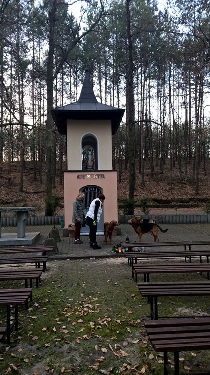 WP_20150410_19_20_19_Pro_wynik.jpg