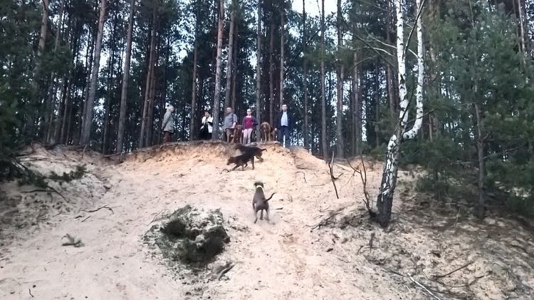 WP_20150411_19_50_19_Pro_wynik.jpg
