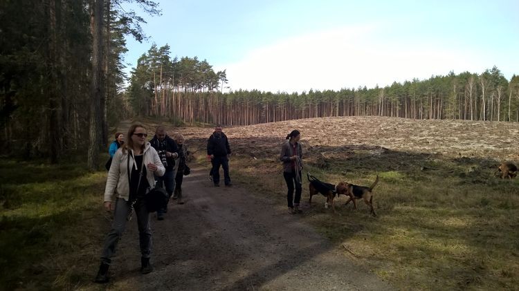 WP_20150412_10_58_00_Pro_wynik.jpg