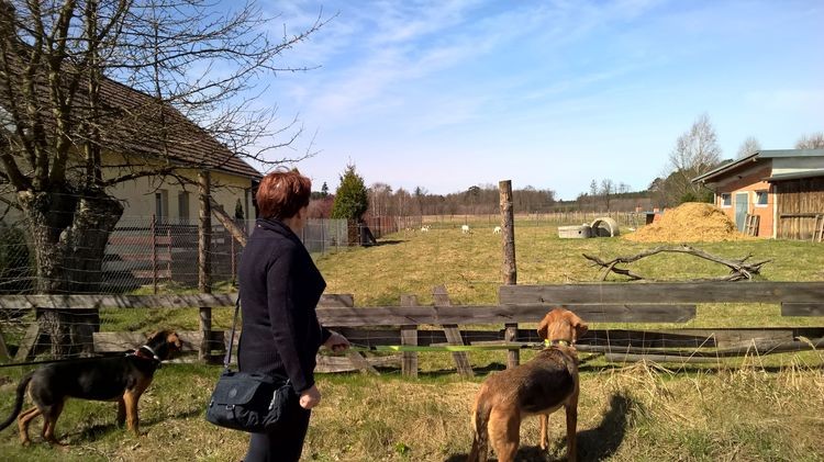 WP_20150412_12_01_08_Pro_wynik.jpg