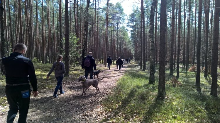 WP_20150412_13_31_57_Pro_wynik.jpg