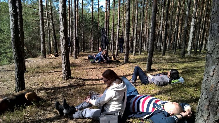 WP_20150412_14_09_13_Pro_wynik.jpg