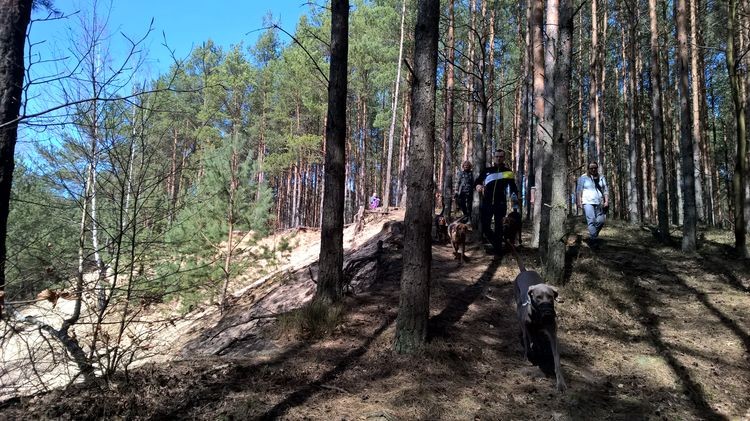 WP_20150412_14_11_36_Pro_wynik.jpg