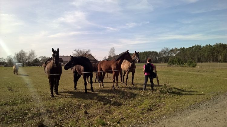 WP_20150412_15_45_41_Pro_wynik.jpg