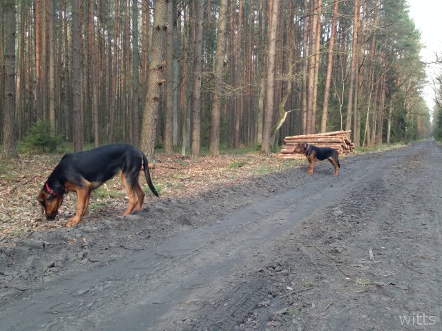 Wiadomo która 2