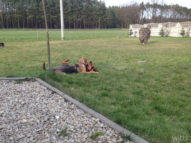 Za gardło, ty mnie