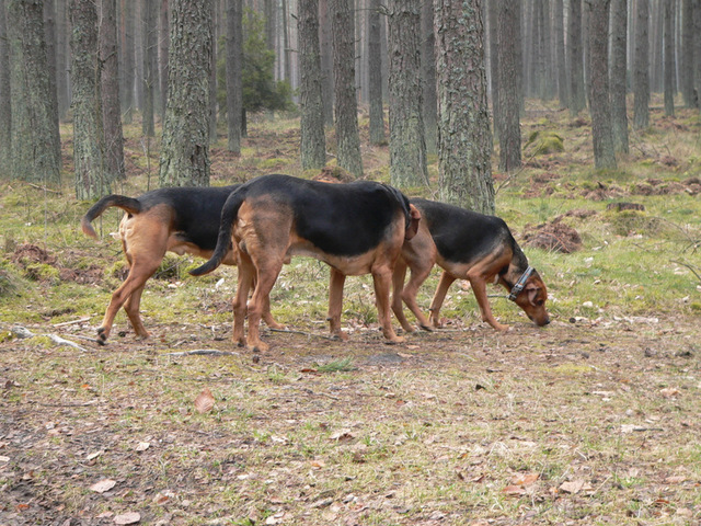 P1180531.JPG