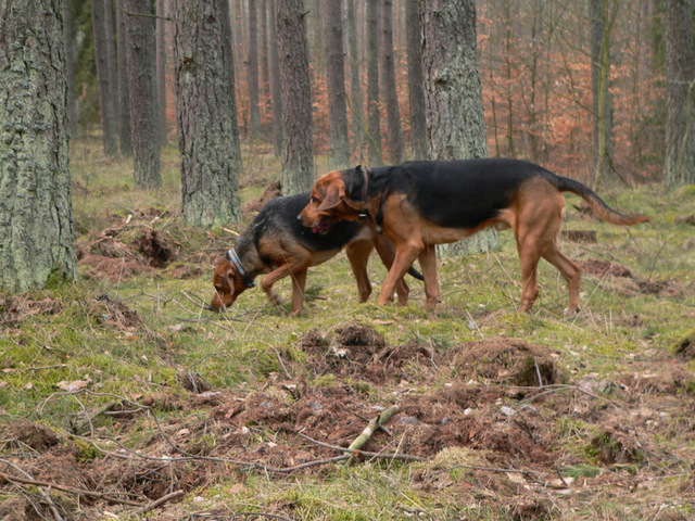 P1180544.JPG
