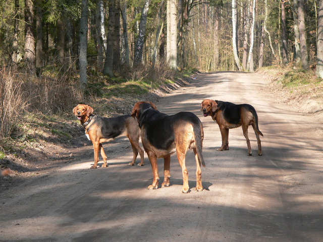 P1180744.JPG