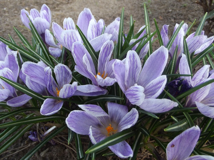 DSCF4680.JPG