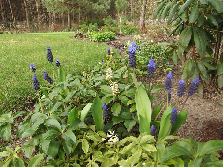 DSCF4689.JPG