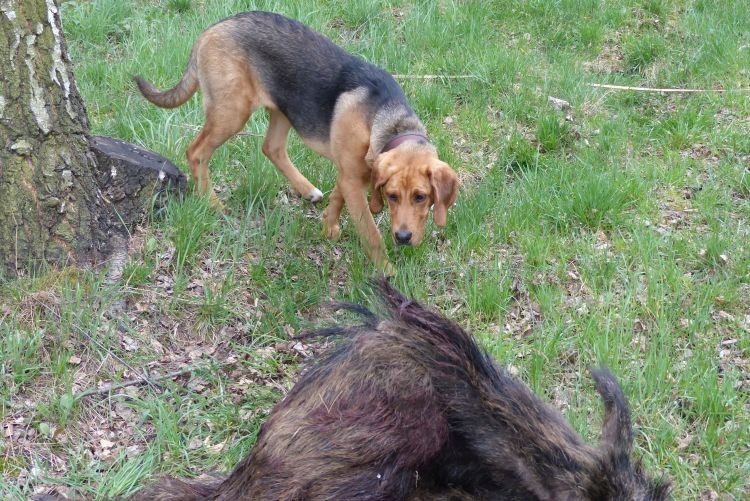 P1030215.jpg
