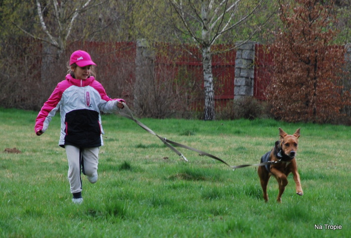1-WROCŁAW grll 18.04.2015 133.jpg
