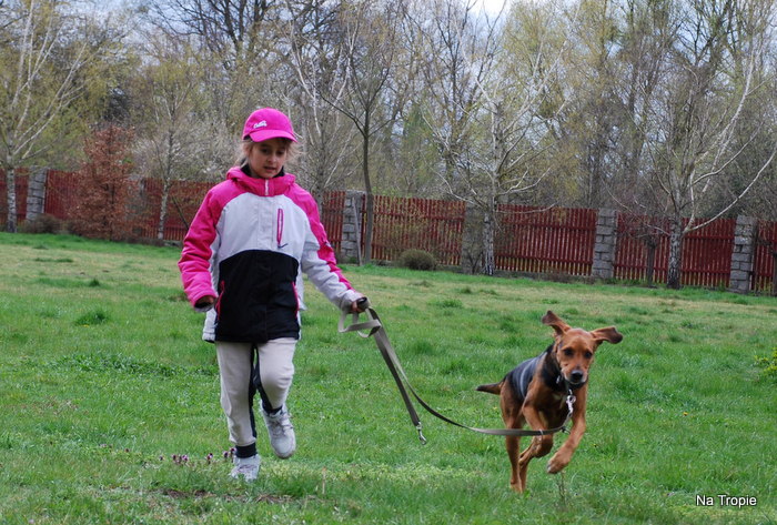 1-WROCŁAW grll 18.04.2015 151.jpg