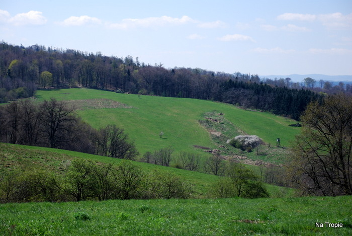 1-WROCŁAW grll 18.04.2015 273.jpg