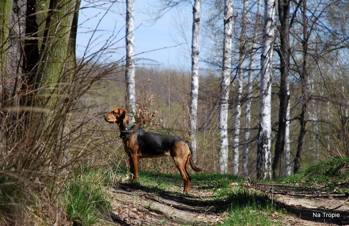 1-WROCŁAW grll 18.04.2015 277.jpg
