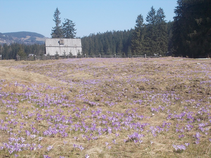 DSCN1860.JPG