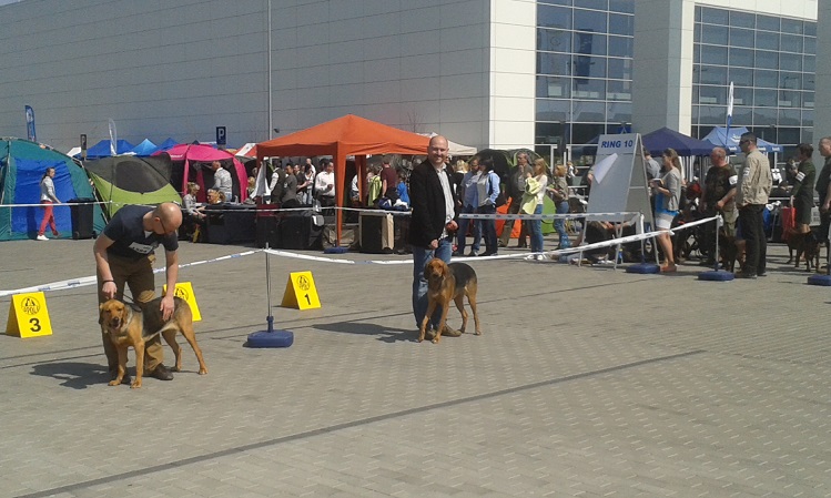 Wystawa Opole