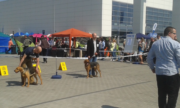 Wystawa Opole