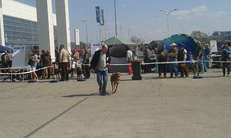 Wystawa Opole