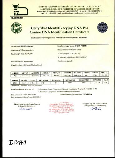 DNA ECHO OLFACTUS1.JPG
